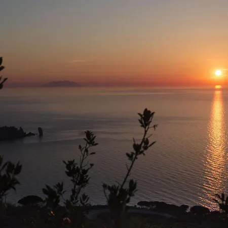 Giglio Gold *