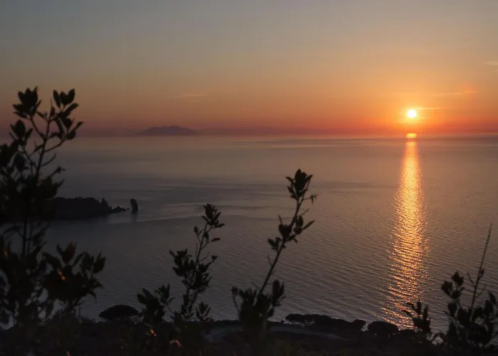 Giglio Gold *