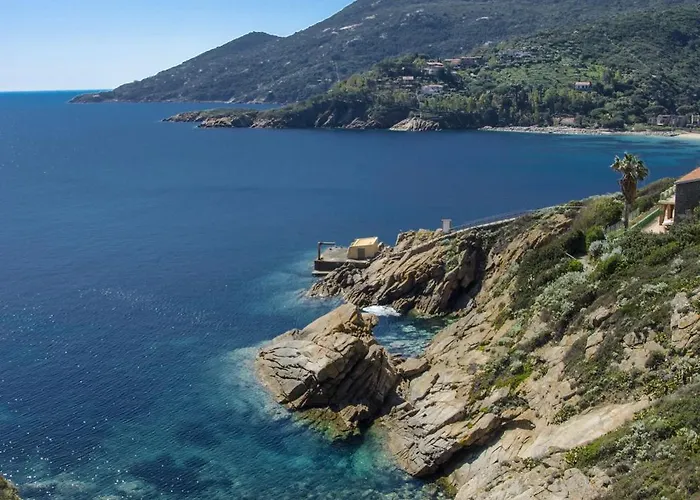 Giglio Gold *